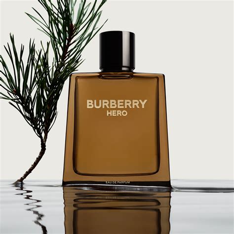 burberry cologne notes|burberry cologne for men.